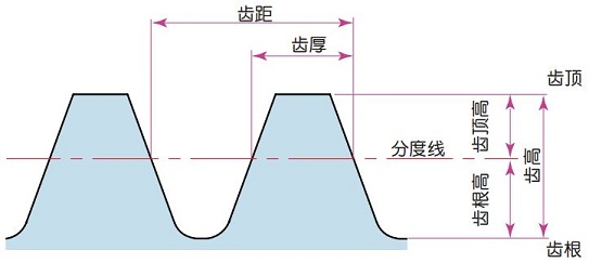 圖 2.4 齒根與齒厚