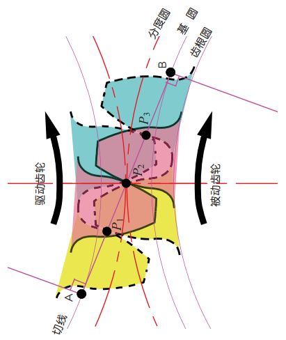 圖 3.3 漸開線齒輪的嚙合