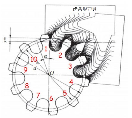 Tooth tapered toward dedendum due to undercut